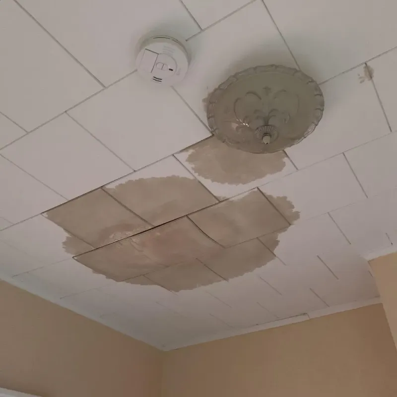 Ceiling Water Damage Repair in Piney Green, NC