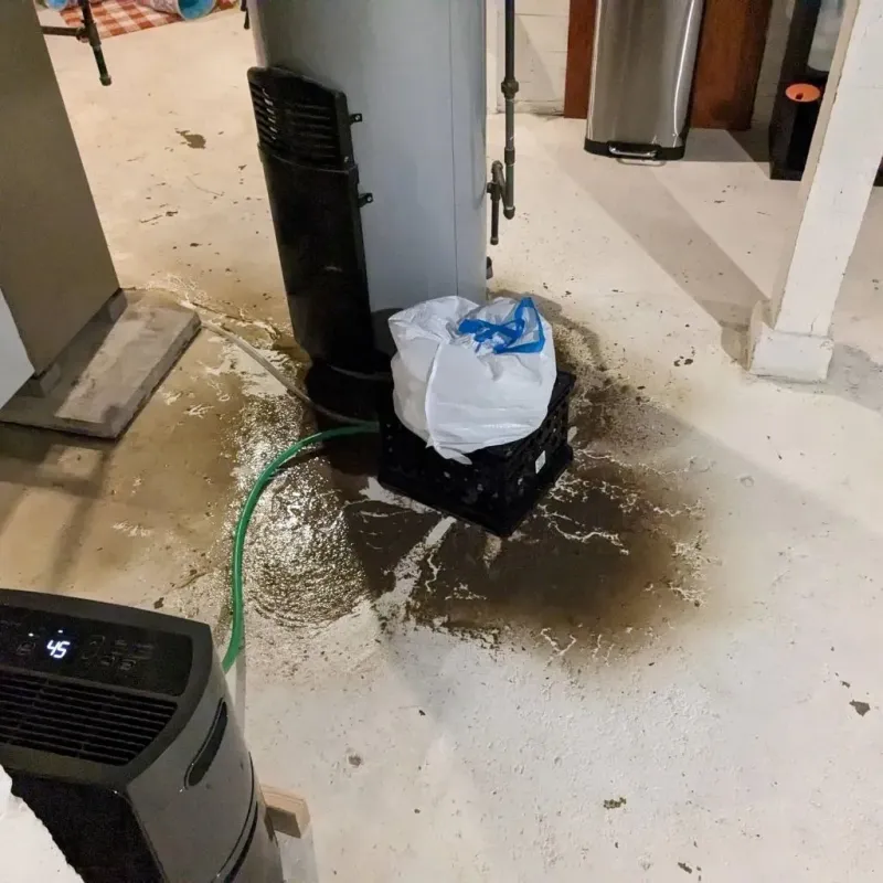 Sewage Backup Cleanup Service in Piney Green, NC